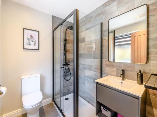a bathroom with a shower and a sink and a toilet at The Roost - Uk42856 in Rise