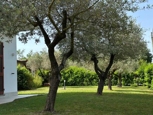 Jardín al aire libre en Abitatt