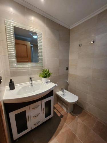 uma casa de banho com um lavatório, um WC e um espelho. em Apartamentos Nordés2 em Malpica de Bergantiños