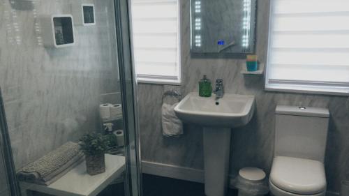 a bathroom with a shower and a sink and a toilet at The Old Forestry Cottage in Portree