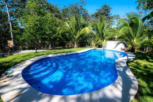 a large blue swimming pool in a yard with trees at Casa de la Naturaleza in Cóbano
