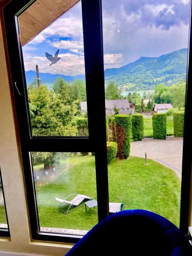 a window with a view of a yard with a bird at VIP Villa & Spa in Colibiţa
