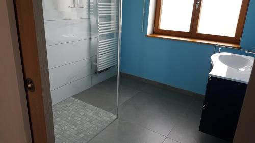 een badkamer met een glazen douche en een wastafel bij Au chant de la rivière in Stosswihr