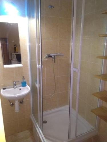 a bathroom with a shower and a sink at Comfy apartments in good area in Prague