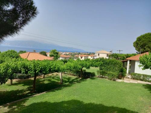 Blick auf einen Garten mit Bäumen und Gras in der Unterkunft Verde e Mare apartments-Marathias in Marathias