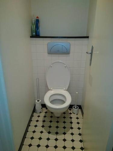 - une petite salle de bains avec toilettes dans une cabine dans l'établissement Ecogîte La Charmette avec terrasse et jardin, à Suzannecourt