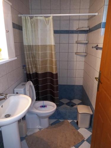 a bathroom with a toilet and a sink at Verde e Mare apartments-Marathias in Marathias