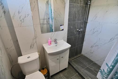 a bathroom with a toilet and a sink and a shower at Penzión Šírava in Kaluža