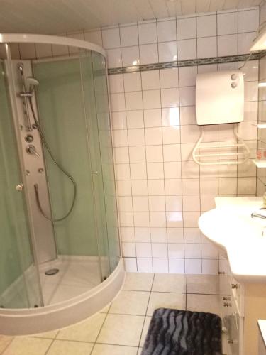 une salle de bain avec douche et lavabo dans l'établissement GÎTE LE GELEINFÊTE II VOSGES à proximité de GERARDMER, à Herpelmont