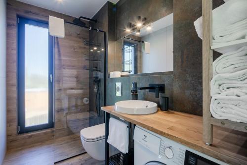 een badkamer met een wastafel, een toilet en een spiegel bij Domek w Borze in Kościelisko