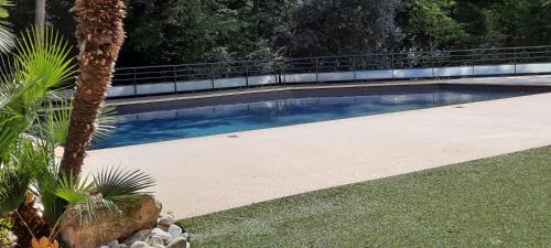 - une piscine bordée d'un palmier dans l'établissement 3 pièces traversant mer montagne, 60 M2, calme, à Gorbio