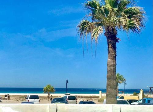 Urb. Las Cañas. Apartamento F1