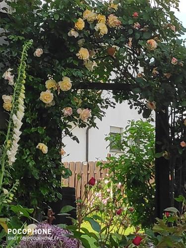 an archway in a garden with flowers and a fence at Annabell in Soest