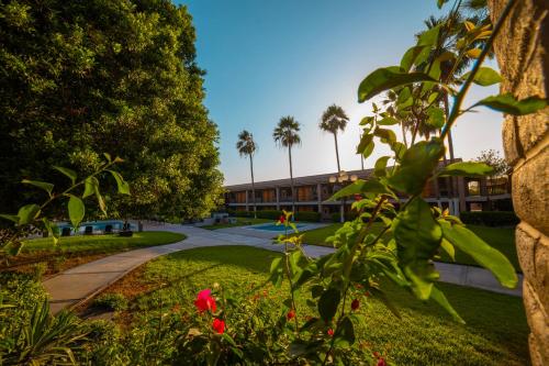 a view of a campus with a building in the background at Hotel Colonial Mexicali in Mexicali