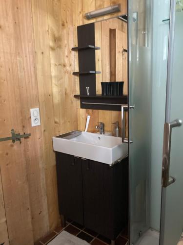 une salle de bain avec un lavabo et un miroir dans l'établissement la garçonnière, à Nivillac