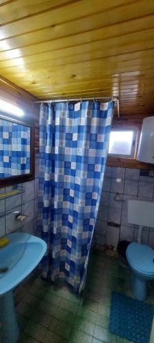 a bathroom with a toilet and a shower curtain at Villa Krompir in Tetovo