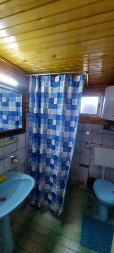 La salle de bains est pourvue de toilettes et d'un rideau de douche. dans l'établissement Villa Krompir, à Tetovo