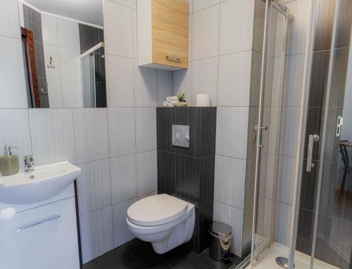 ein Bad mit einem WC, einem Waschbecken und einer Dusche in der Unterkunft Ostrzyckie Wakacje in Ostrzyce