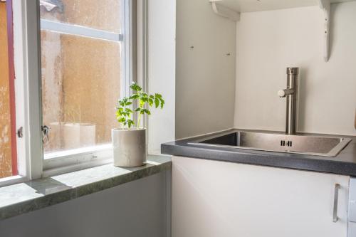 a kitchen with a sink and a potted plant at 1700-talshus i två plan med egen innergård i Visby innerstad in Visby
