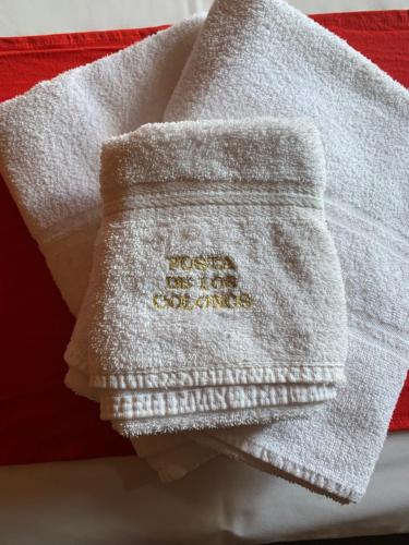 a towel that is sitting on top of a napkin at Hosteria Posta de los Colonos in Villa La Angostura