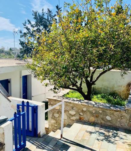 Το κτήριο όπου στεγάζεται  το διαμέρισμα