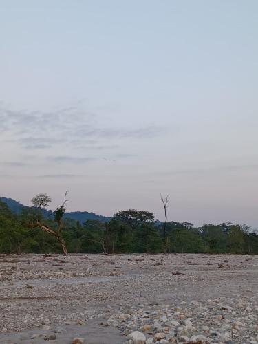 a field with rocks and trees in the distance at DOOARS VELLEY HOME STAY in Buxa Duār