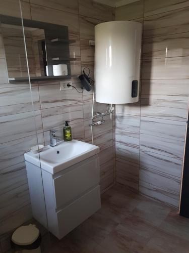 a bathroom with a white sink and a mirror at La Dragalasu in Corbu