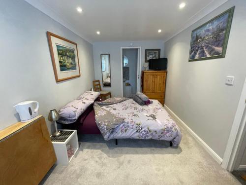 a bedroom with two beds and a tv in it at Private Double en-suite Room at the Groves in Kent