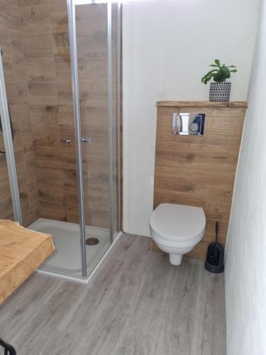 uma casa de banho com um chuveiro e um WC. em Storchenhof Mobilheim 1 em Katzow