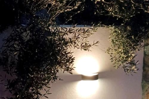 a light sitting on a table next to a plant at A Home away from Home in Psakoudia