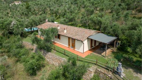 Fico – Photos 4