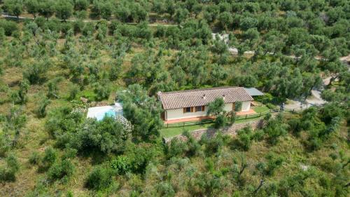 Fico – Photos 5