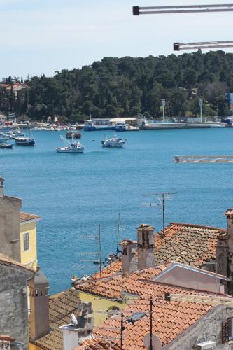 Studio Oscar IV With Terrace and Sea View