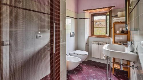 a bathroom with a toilet and a sink and a shower at Cielo di Radda in Radda in Chianti
