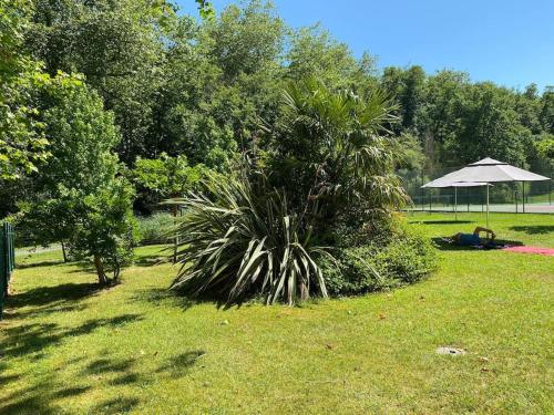 a palm tree in a field with an umbrella at Superbe T3 lumineux sur parc arboré avec piscine in Anglet