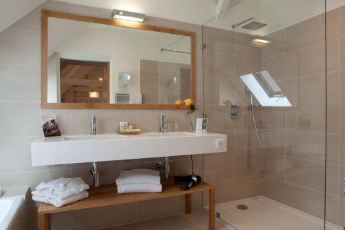 a bathroom with a sink and a mirror and a shower at Domaine de la Tortinière in Montbazon