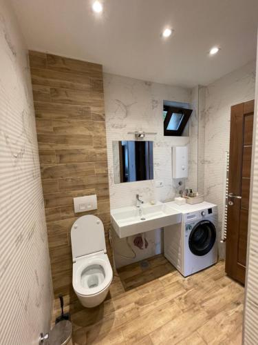 uma casa de banho com um WC, um lavatório e uma máquina de lavar roupa em Stefan's Cozy Skopje House em Skopje