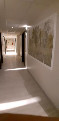 ゾーラ・プレドーザにあるContinental Urban Art Hotelのギャラリーの写真