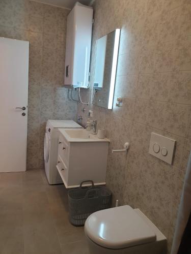a bathroom with a toilet and a sink and a mirror at Apartment Elizabeth in Split