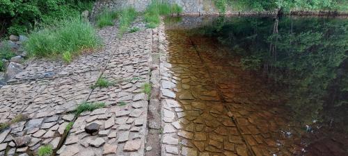 アパートメントの近くで見られる自然の景観