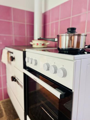 a stove with a pot on top of it at Landhaus mit Garten in Neutal