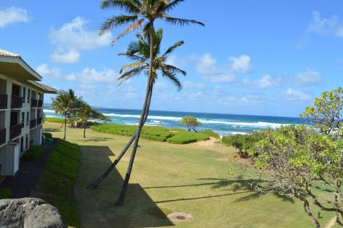 a palm tree in front of a house with the ocean at 2417 at Oceanfront Resort Lihue Kauai Beach Drive Private Condo in Lihue