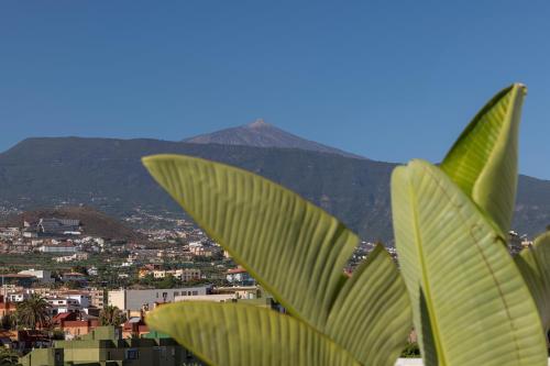 a view of a city with a mountain in the background at Hotel Marte in Puerto de la Cruz