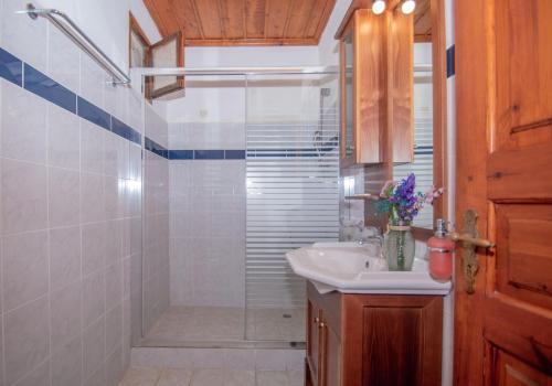 a bathroom with a shower and a sink and a toilet at Arpyia in Vasilikos