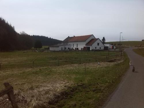 Ein weißes Haus auf einem Feld neben einer Straße in der Unterkunft Mühlenhof in Stadtkyll