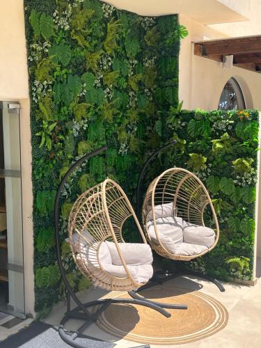 two wicker chairs in front of a green wall at Cabana Blu Hotel & Suites in Kardamaina