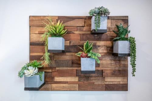 a wooden pallet wall with potted plants on it at Treasure Mountain Inn in Park City