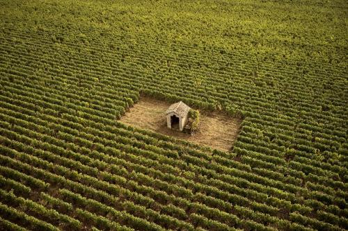 Φωτογραφία από το άλμπουμ του COMO Le Montrachet σε Puligny-Montrachet