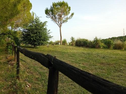 a wooden fence in a field with a tree at Borgo de' Muracci in Ribolla