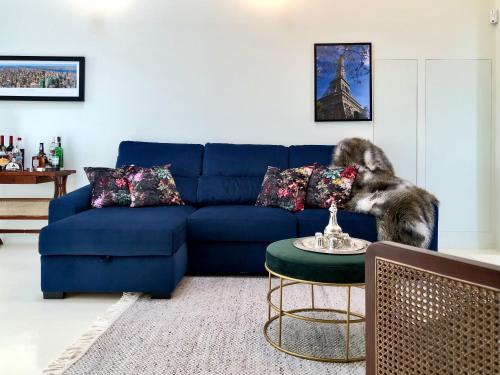 a blue couch in a living room with a cat standing on a table at Pool oasis with private parking -Vigia 8 in Torres Vedras